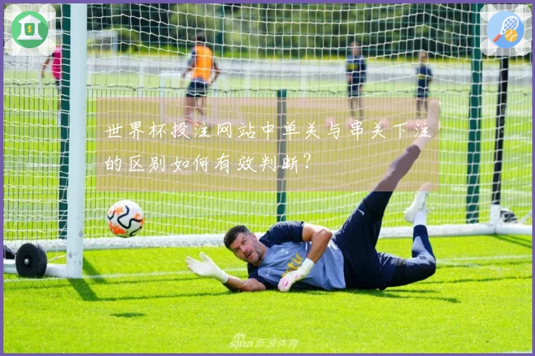 世界杯投注网站中单关与串关下注的区别如何有效判断?