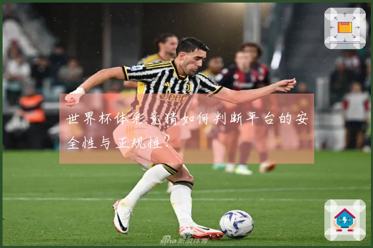 世界杯体彩竞猜如何判断平台的安全性与正规性？