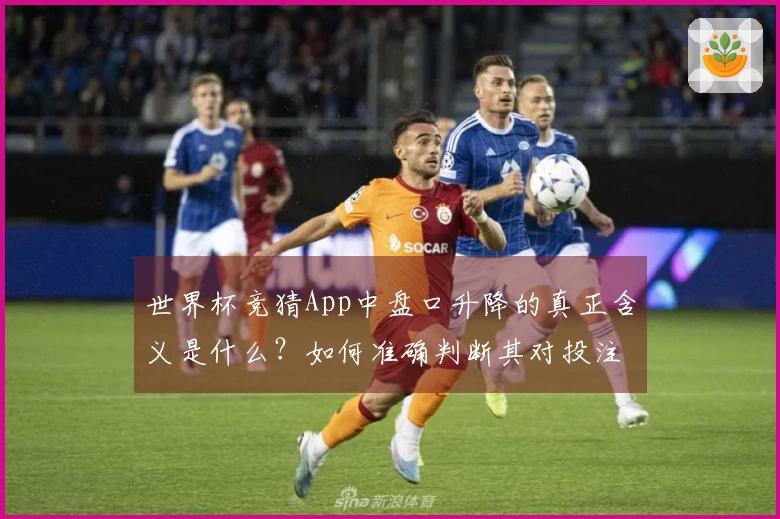 世界杯竞猜App中盘口升降的真正含义是什么？如何准确判断其对投注的影响？