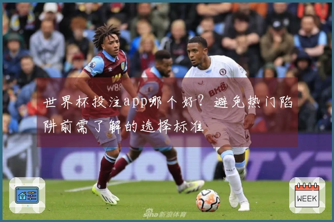 世界杯投注app哪个好？避免热门陷阱前需了解的选择标准
