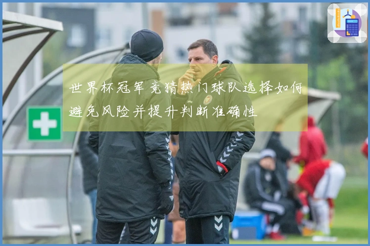 世界杯冠军竞猜热门球队选择如何避免风险并提升判断准确性