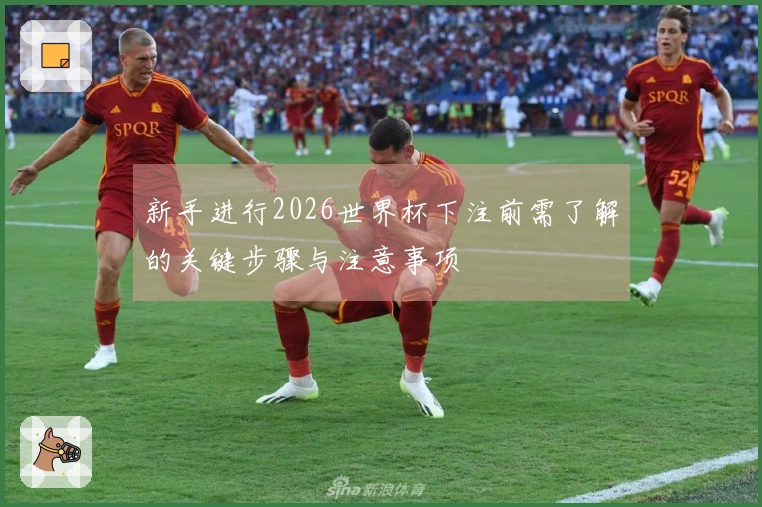 新手进行2026世界杯下注前需了解的关键步骤与注意事项