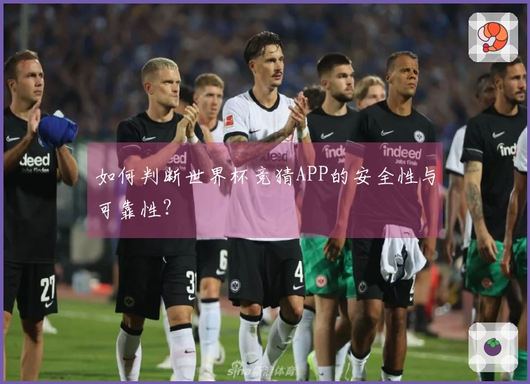 如何判断世界杯竞猜APP的安全性与可靠性？