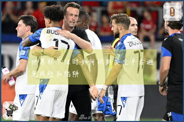 世界杯下注时如何识别安全平台避免风险和陷阱