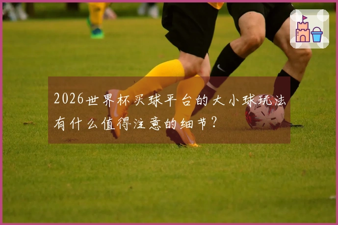 2026世界杯买球平台的大小球玩法有什么值得注意的细节？