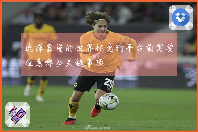 选择靠谱的世界杯竞猜平台前需要注意哪些关键事项