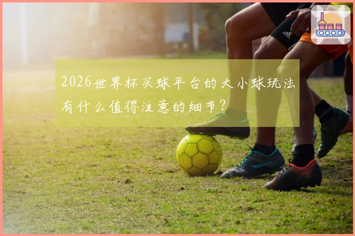 2026世界杯买球平台的大小球玩法有什么值得注意的细节？