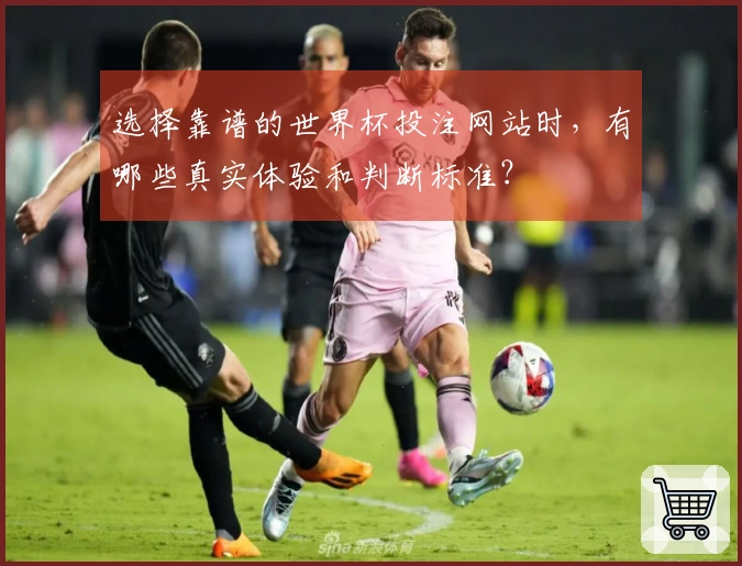选择靠谱的世界杯投注网站时，有哪些真实体验和判断标准？