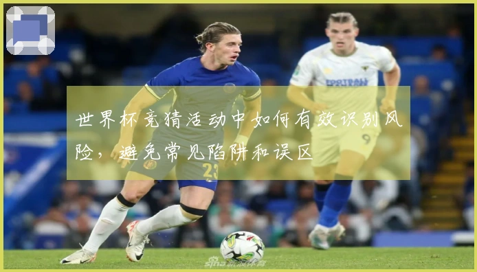 世界杯竞猜活动中如何有效识别风险，避免常见陷阱和误区