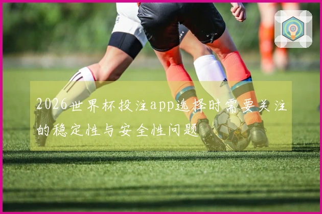 2026世界杯投注app选择时需要关注的稳定性与安全性问题