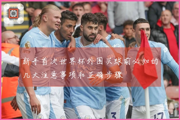 新手首次世界杯外围买球前必知的几大注意事项和正确步骤