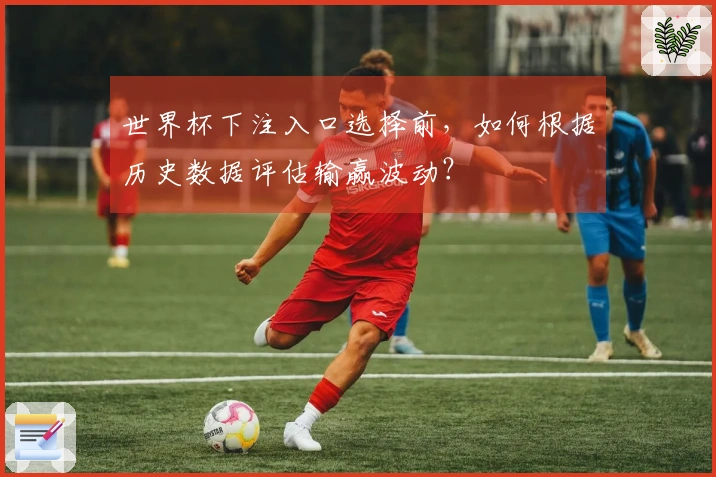 世界杯下注入口选择前，如何根据历史数据评估输赢波动？
