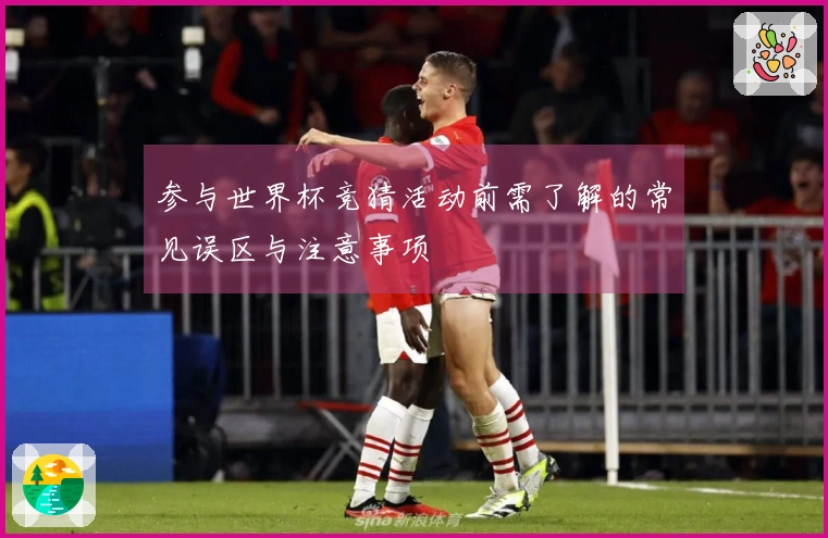 参与世界杯竞猜活动前需了解的常见误区与注意事项