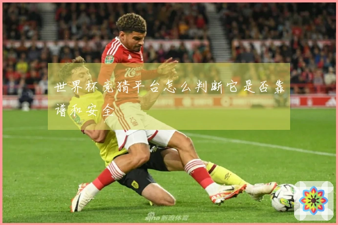 世界杯竞猜平台怎么判断它是否靠谱和安全
