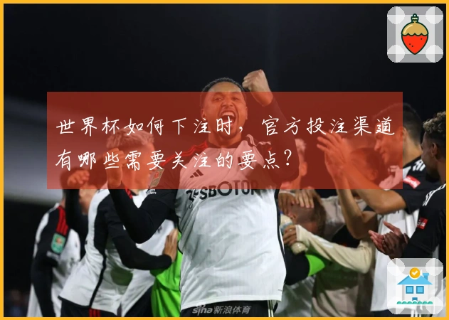 世界杯如何下注时，官方投注渠道有哪些需要关注的要点？
