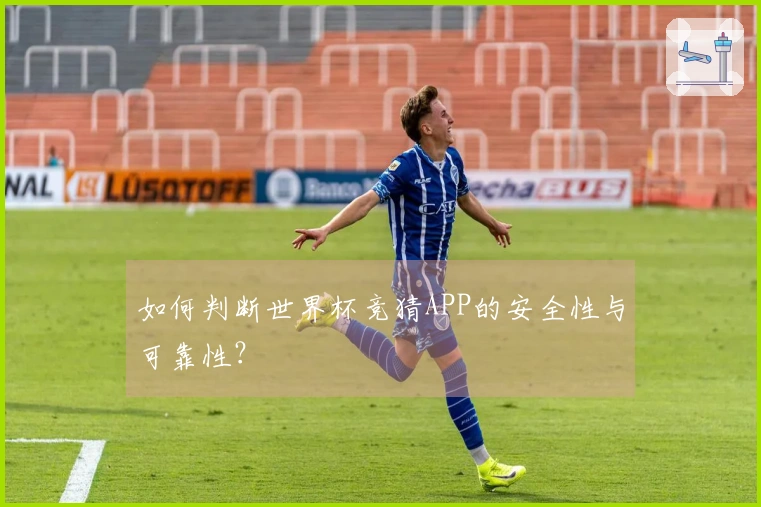如何判断世界杯竞猜APP的安全性与可靠性？