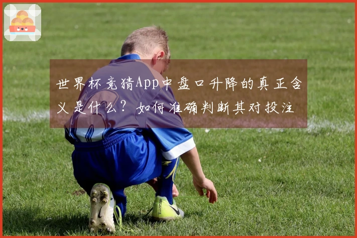 世界杯竞猜App中盘口升降的真正含义是什么？如何准确判断其对投注的影响？