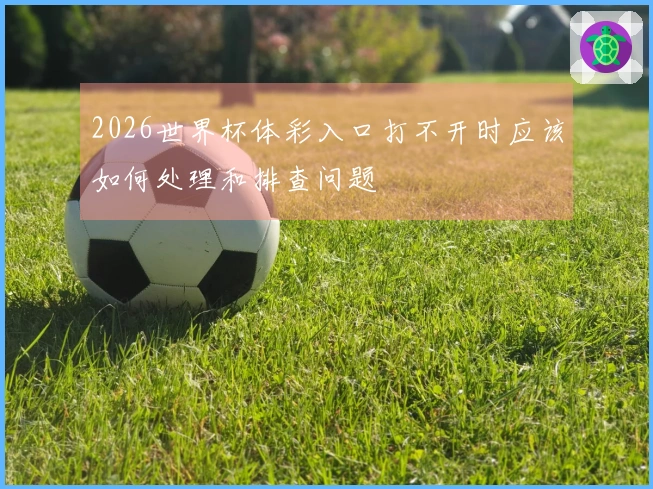 2026世界杯体彩入口打不开时应该如何处理和排查问题