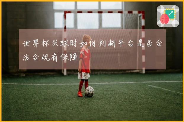 世界杯买球时如何判断平台是否合法合规有保障