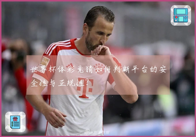 世界杯体彩竞猜如何判断平台的安全性与正规性？