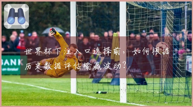 世界杯下注入口选择前，如何根据历史数据评估输赢波动？