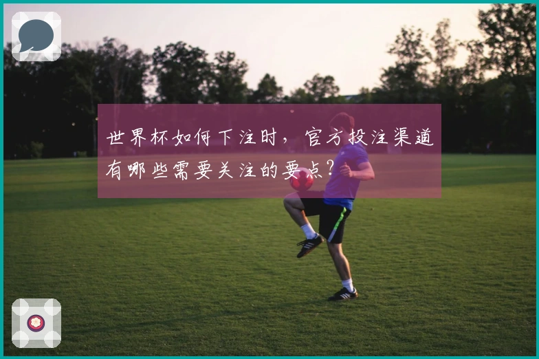 世界杯如何下注时，官方投注渠道有哪些需要关注的要点？