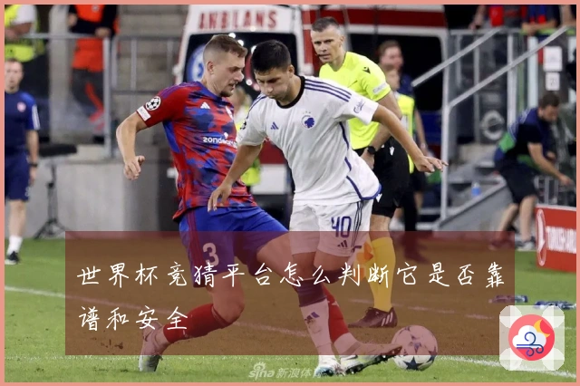 世界杯竞猜平台怎么判断它是否靠谱和安全