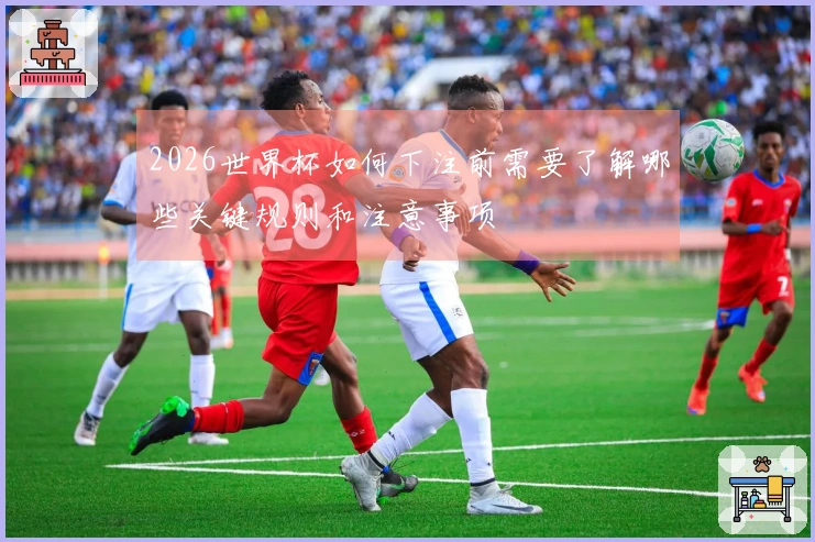 2026世界杯如何下注前需要了解哪些关键规则和注意事项