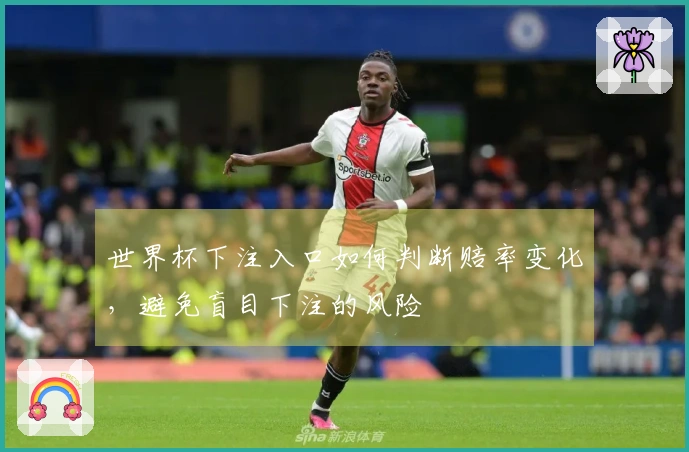 世界杯下注入口如何判断赔率变化，避免盲目下注的风险