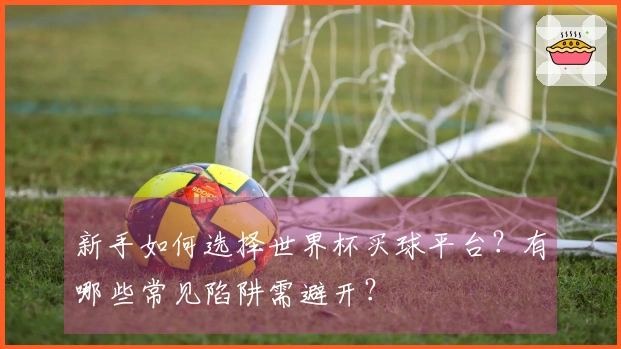 新手如何选择世界杯买球平台？有哪些常见陷阱需避开？