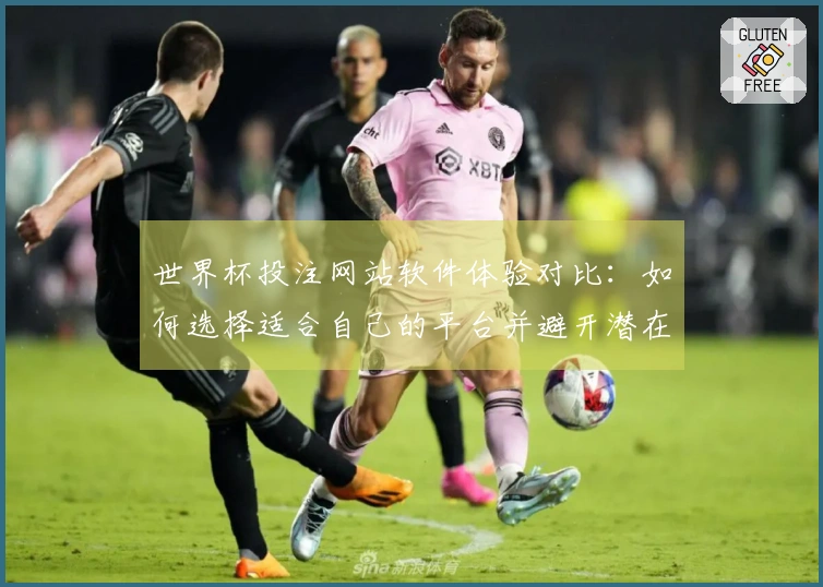 世界杯投注网站软件体验对比：如何选择适合自己的平台并避开潜在风险