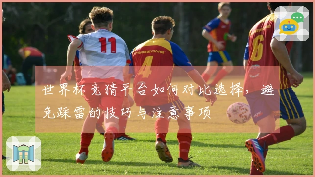 世界杯竞猜平台如何对比选择，避免踩雷的技巧与注意事项