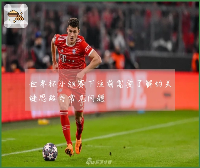 世界杯小组赛下注前需要了解的关键思路与常见问题