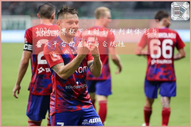 2026世界杯下注时如何判断体彩与各大平台的差异与合规性