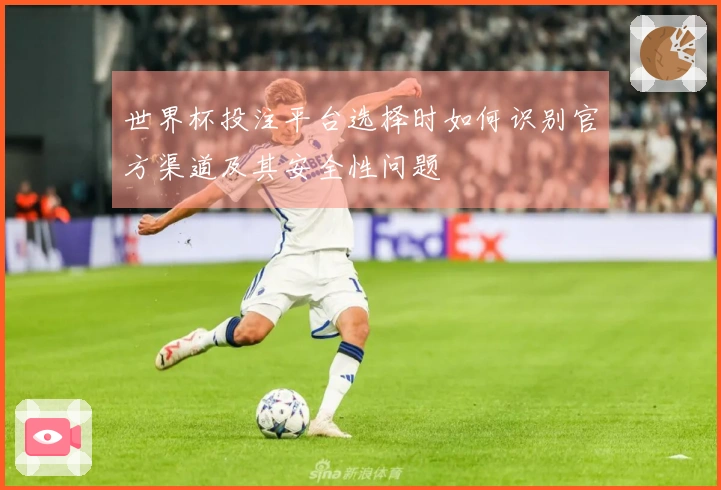 世界杯投注平台选择时如何识别官方渠道及其安全性问题
