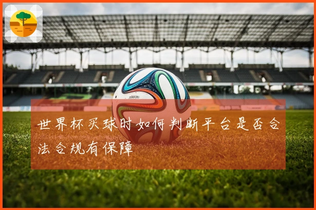 世界杯买球时如何判断平台是否合法合规有保障