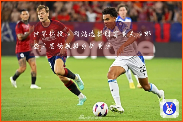 世界杯投注网站选择时需要关注哪些主客场数据分析要点