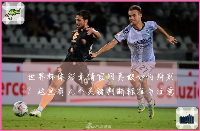 世界杯体彩竞猜官网真假如何辨别？这里有几个关键判断标准与注意事项