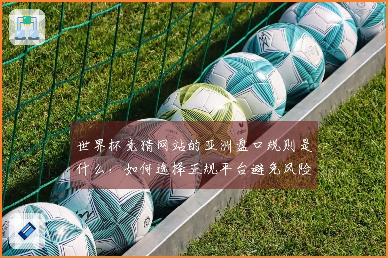 世界杯竞猜网站的亚洲盘口规则是什么，如何选择正规平台避免风险？