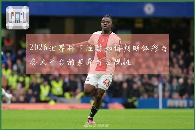 2026世界杯下注时如何判断体彩与各大平台的差异与合规性